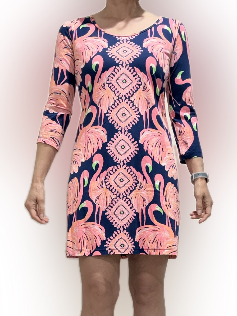 Lilly Pulitzer flamingo dress